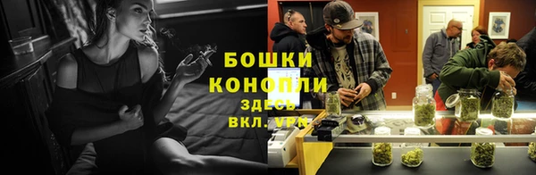 ГАЛЛЮЦИНОГЕННЫЕ ГРИБЫ Лиски
