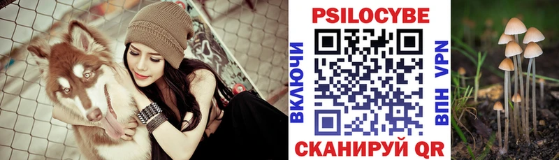 Купить  Новая Ляля  Галлюциногенные грибы Psilocybe 